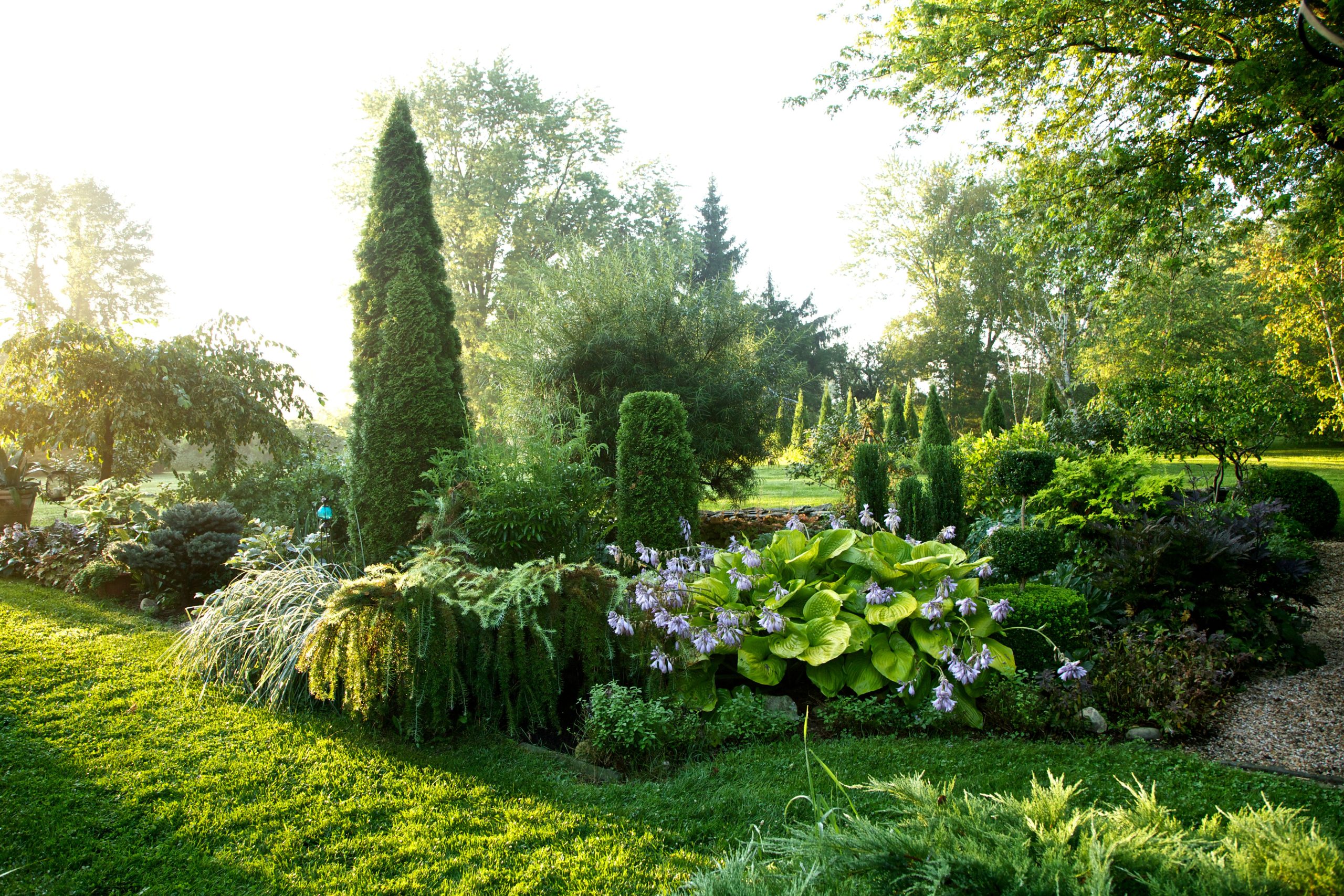 4 Garden Plants That Could Be Aggravating Your Seasonal Allergy Symptoms