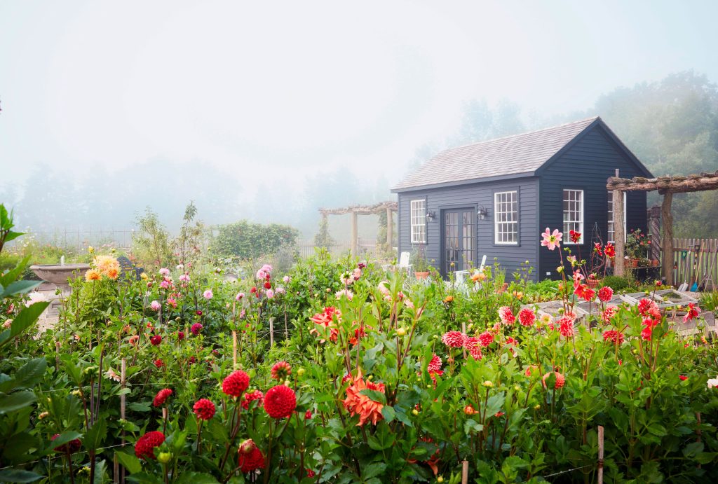 A garden with various blooming flowers and a small building in the background