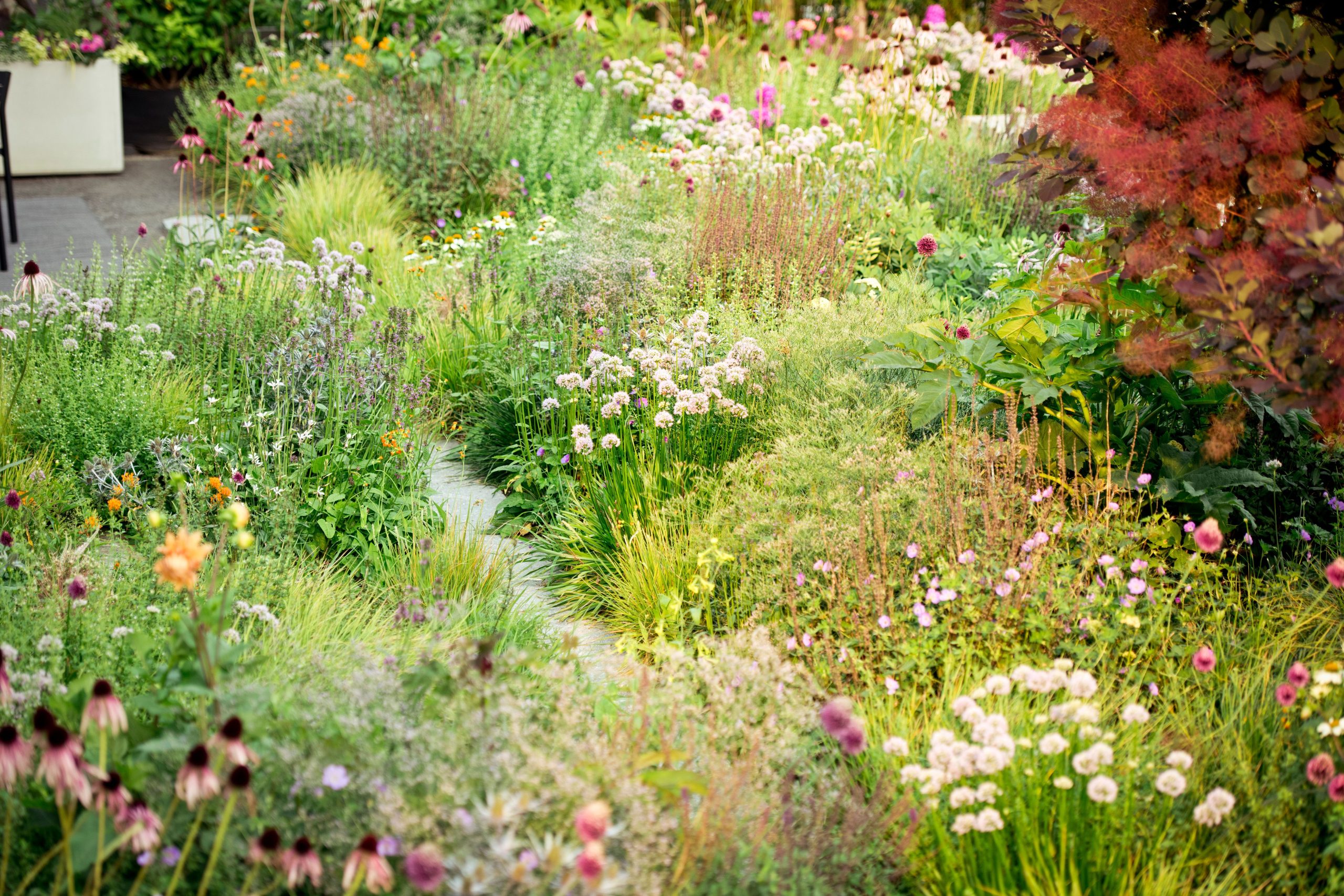 Experts Weigh In: 6 Factors Why Trendy Chaos Gardening Fails to Live Up to the Buzz