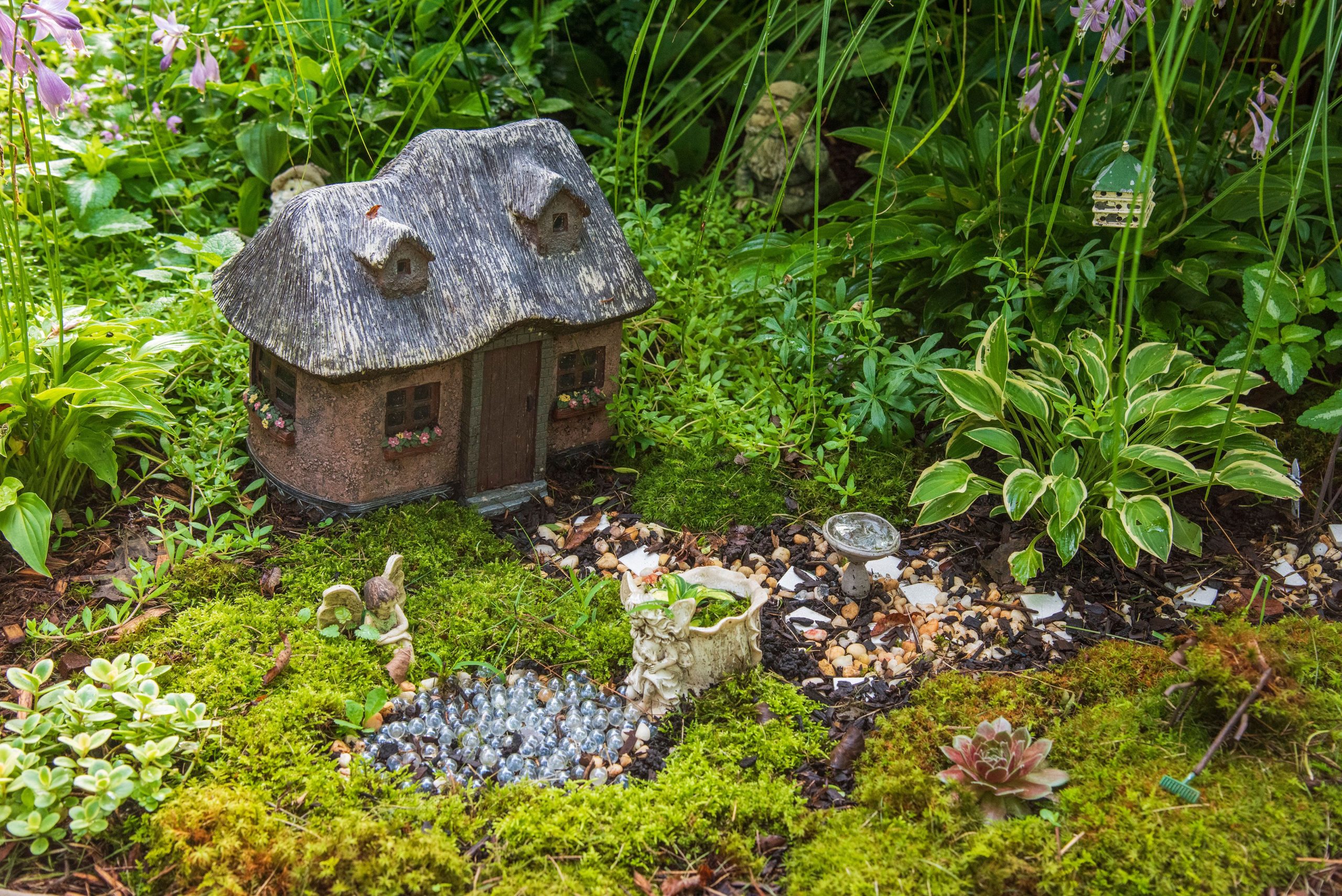 Infuse Your Spring Backyard with a Dash of Enchantment through Fairy Gardening