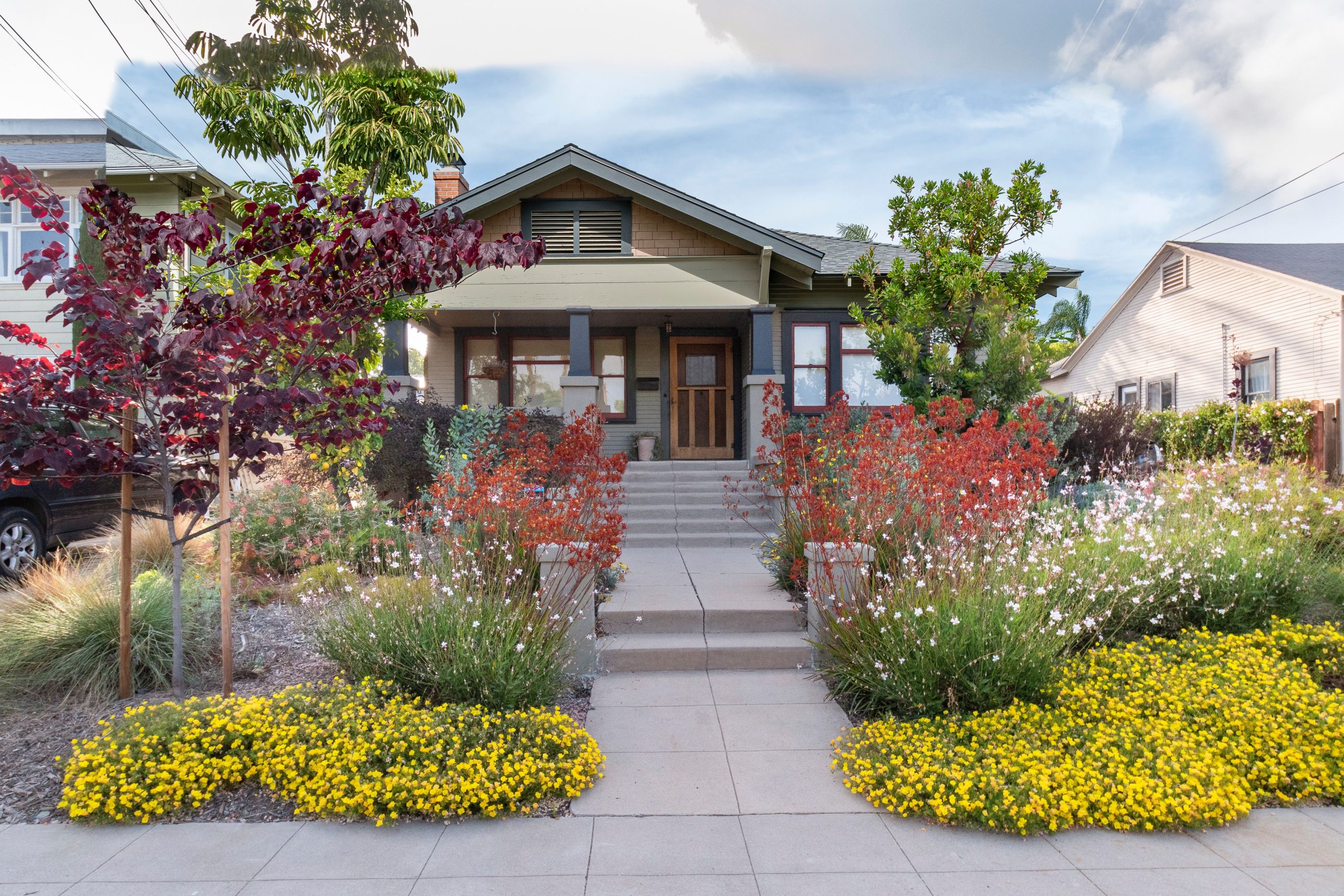 13 Professional Strategies for Crafting a Low-Upkeep Garden Using Indigenous Flora