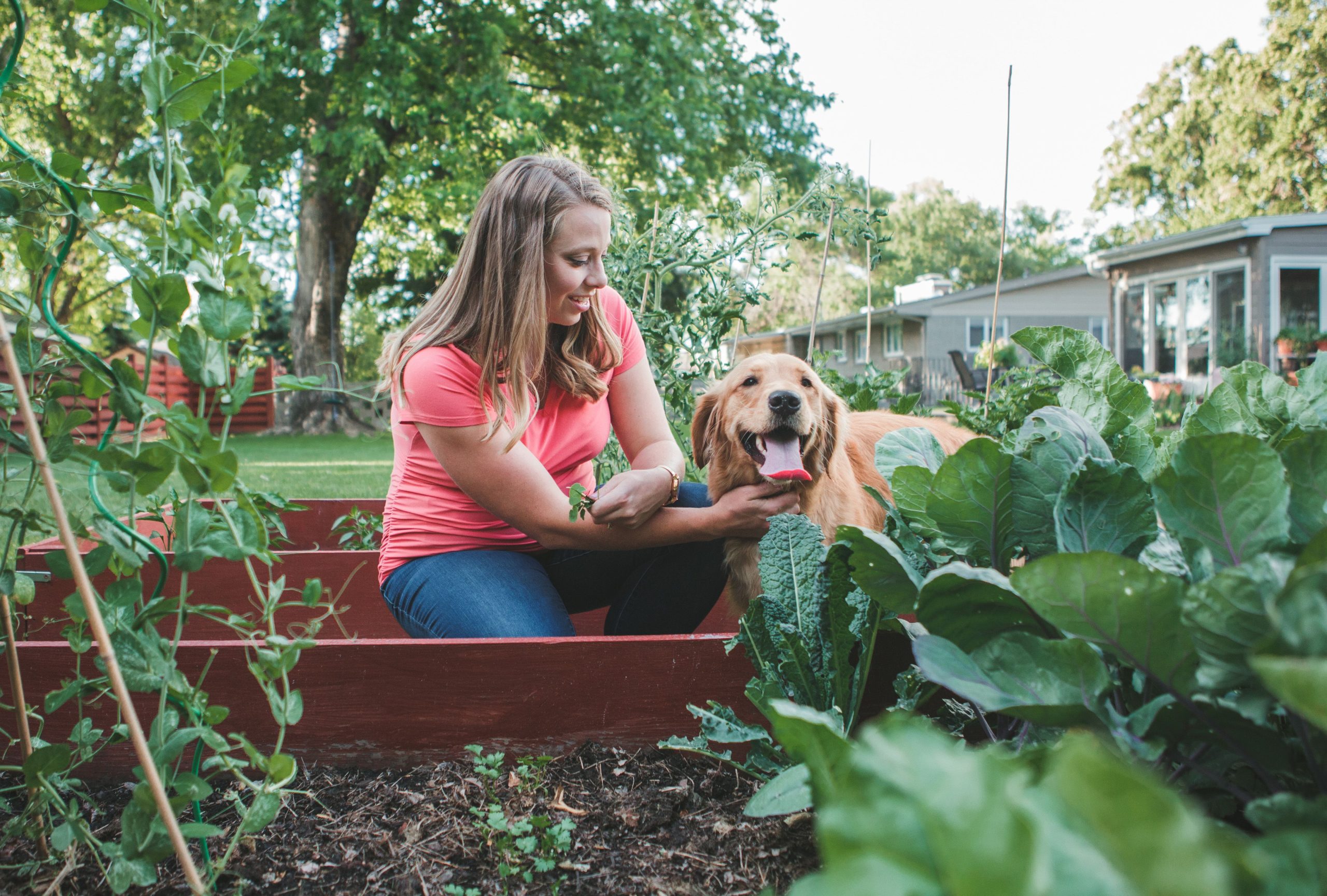 Creating a Garden That’s Both Pet-Friendly and Aesthetically Pleasing